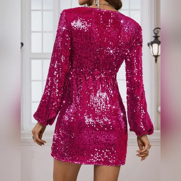 Allurite Sequin Lantern Sleeve Dress