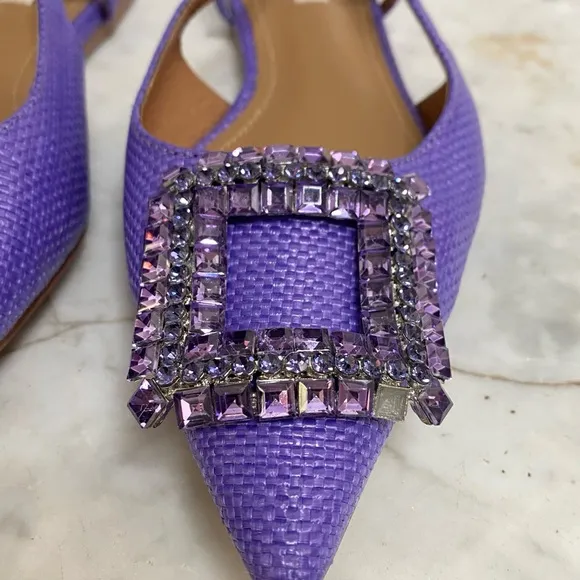 Bibi Lou Embellished Buckle Pointed Toe Ballet Flats
