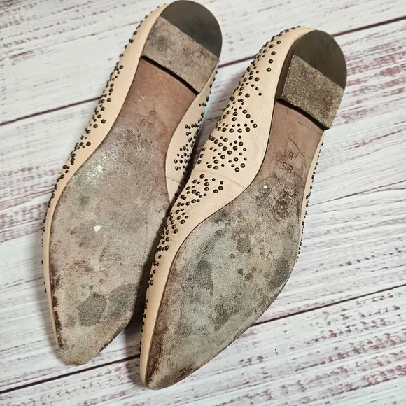 Coach studded pointed flats