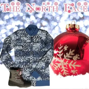 NWOT $149 The North Face | Anna | Blue Ombre Leopard Jacket Slightly Oversized