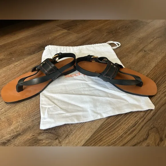 NWOT, Chloe Demi flat sling back thong sandals, 36 (5/6)