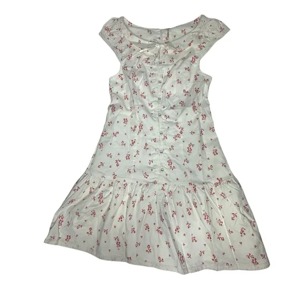 NWT Free People Beasley Hearts and Flowers Mini Dress xs