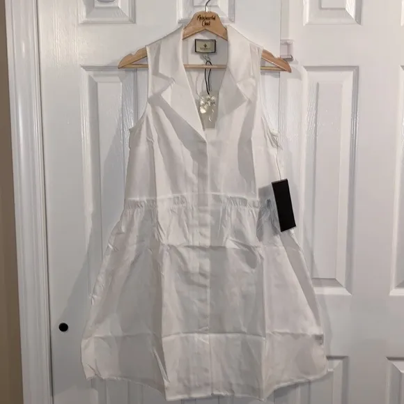Oxford White Sleeveless Royal Shirt DressTUCKERNUCK