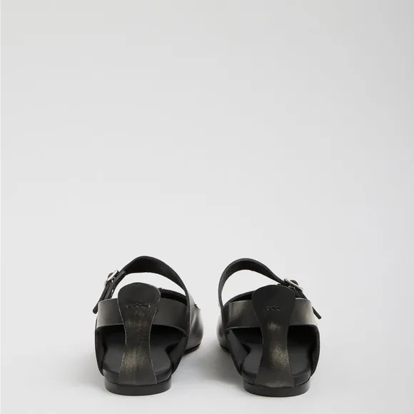 TIbI Rudolph Flat