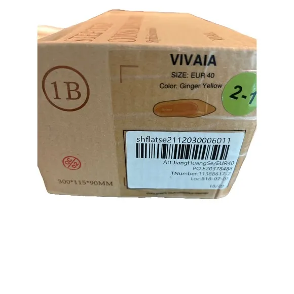 VIVAIA Aria Pointed Toe Ballet Flats Aria 5° Ginger Yellow Size 40  (US 9) NIB